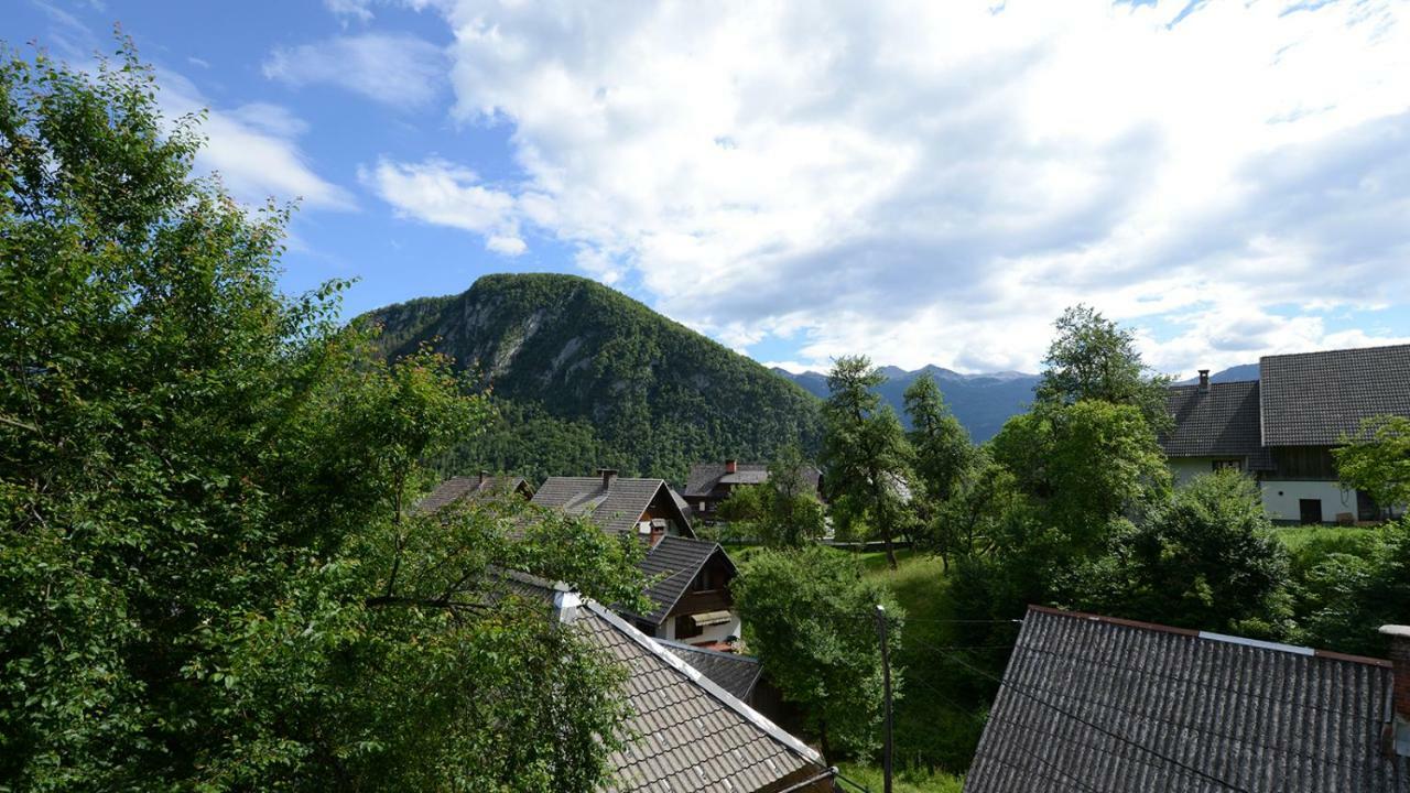Apartmaji Pekovec Bohinj Ngoại thất bức ảnh